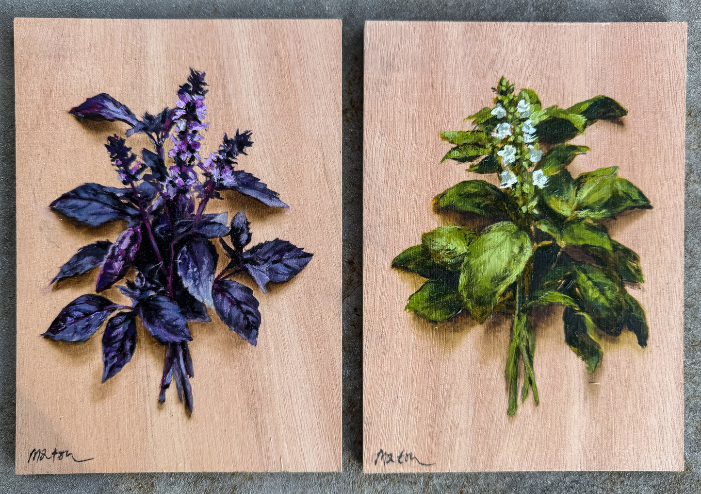 Basil - Pair