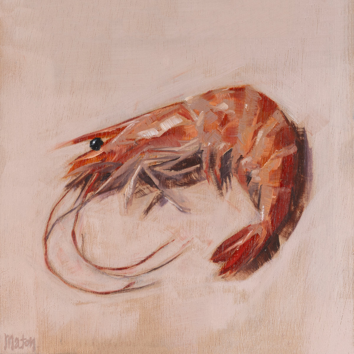 Shrimp