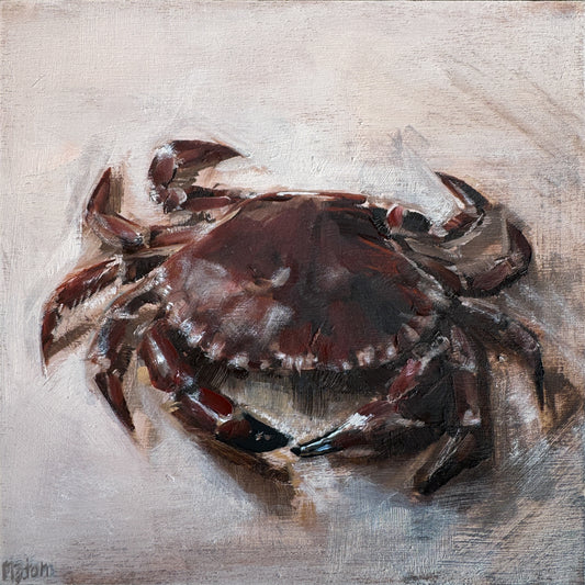 Brown Crab