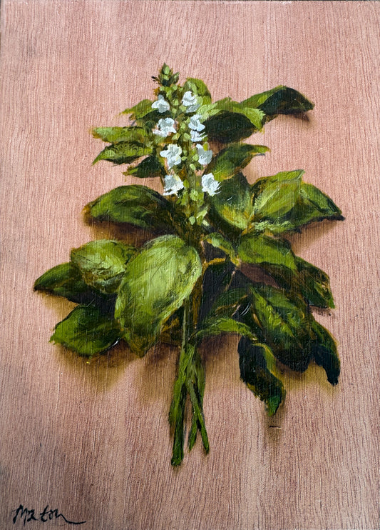 Sweet Basil