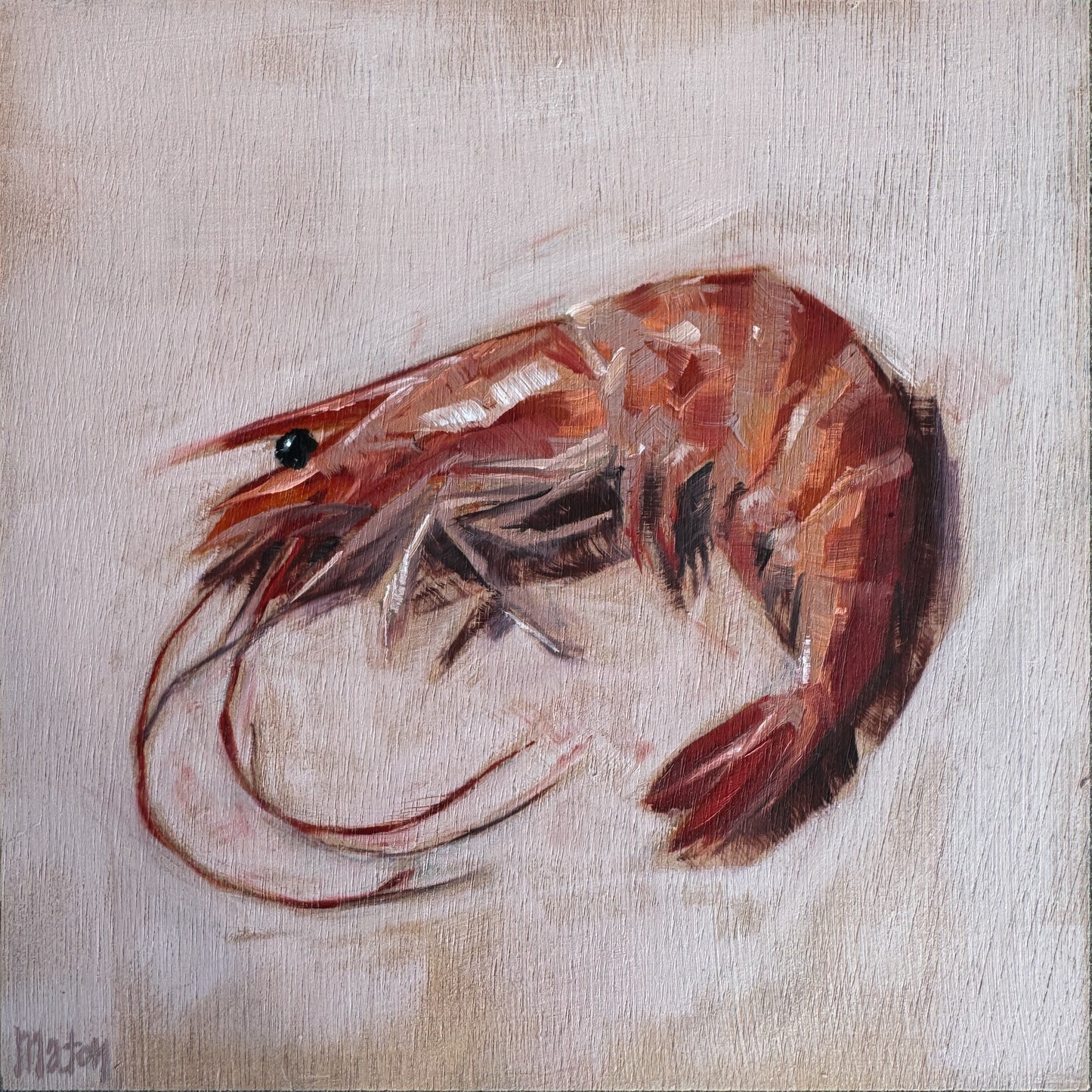Shrimp