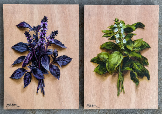 Basil - Pair